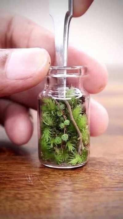 Wearing my terrarium as a pendant