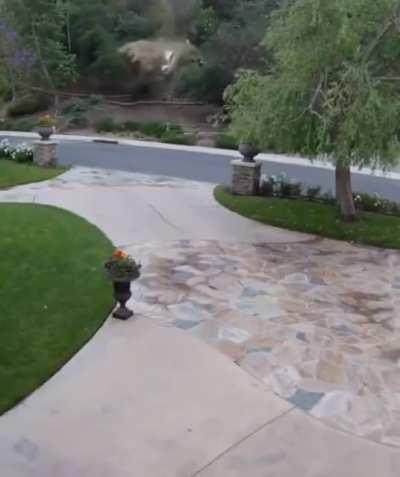 When She Says She’s Home Alone