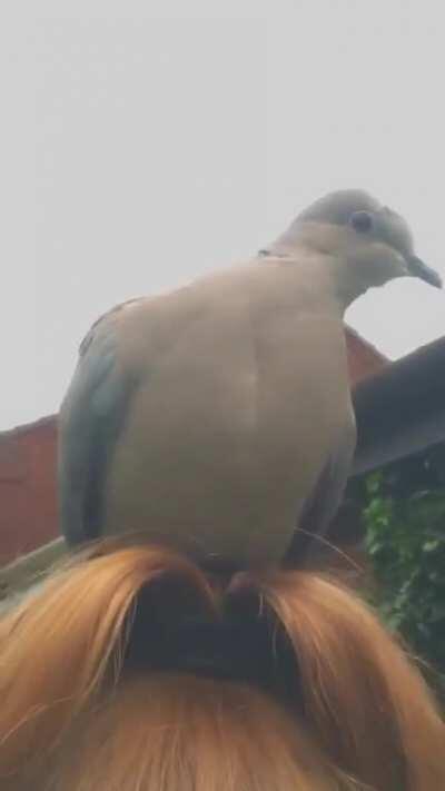 My sister was minding her own business and she made a friend