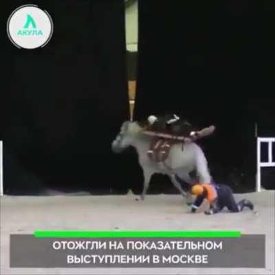 to have a horse ambulance