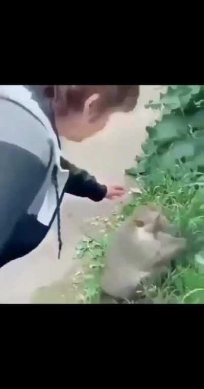 No lo jodas😡, tuvo un mal día