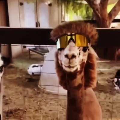 if i cut my hair like this????