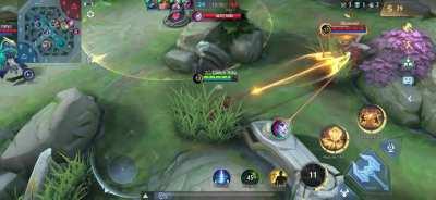 Why could i see selena in this bush?