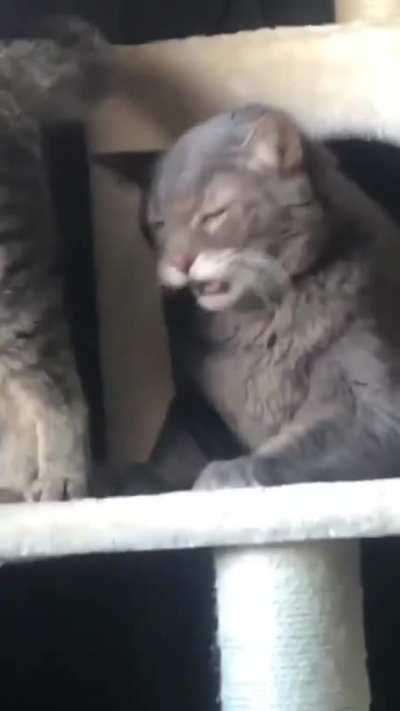 The face of absolute regret