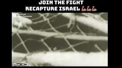 ATTENTION ALL GAMERS: Help Palestine 🇵🇸 😎