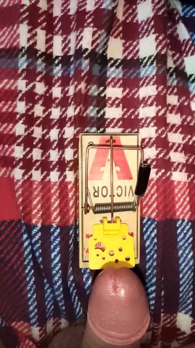 960fps Slowmo Mousetrap on Cock Head