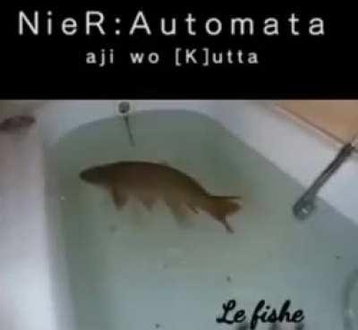 It was good though, Exquisite even.