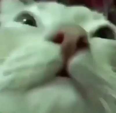 Some sort of retro indie ig?