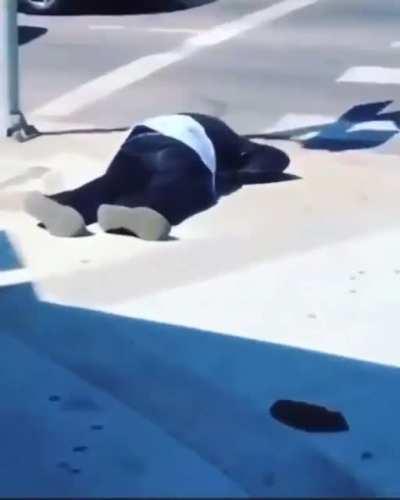 The most fragile human on earth