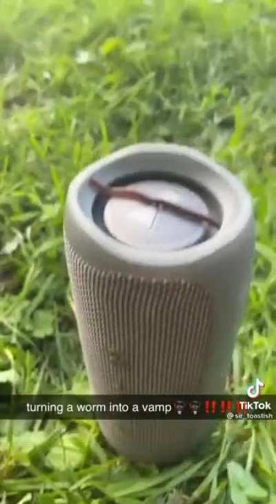 you people are Not Sane