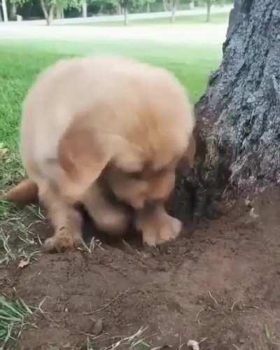 I dig and I dig and I dig