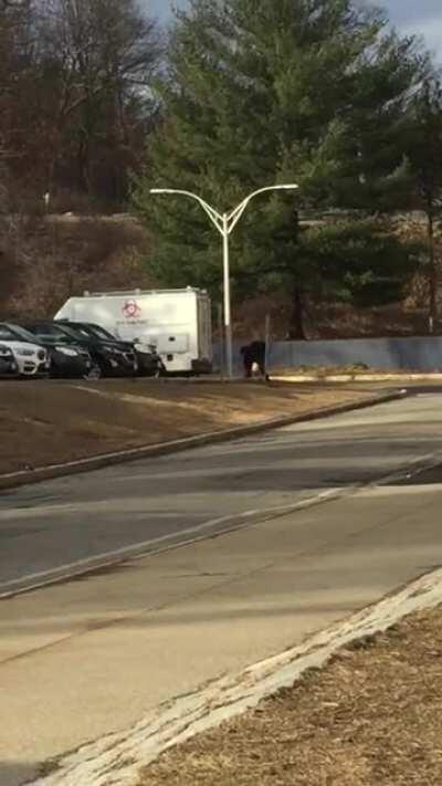 me walking right into an unlocked biohazard truck in front of the school staff