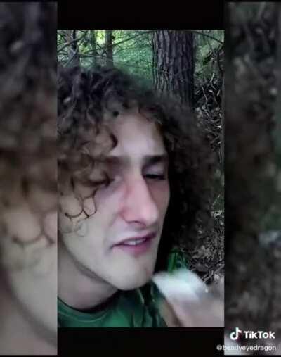 What could go wrong if I eat wild mushroom