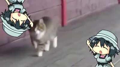 Its too late in the morning.