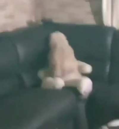 OSITOGANG - Video #3120