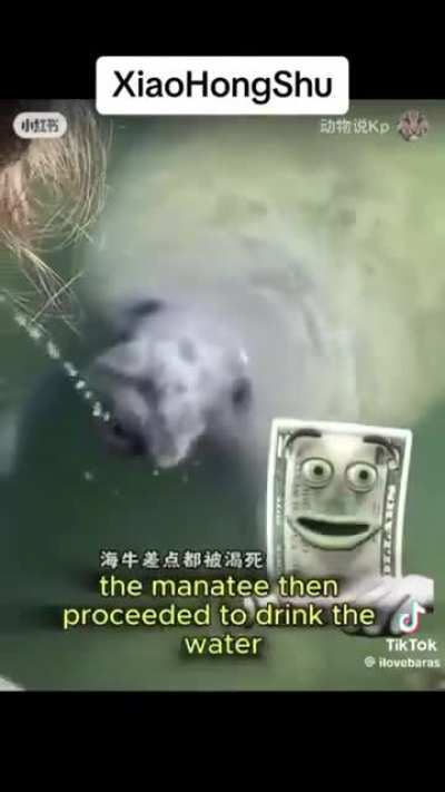 I'm 15 and this is yeet