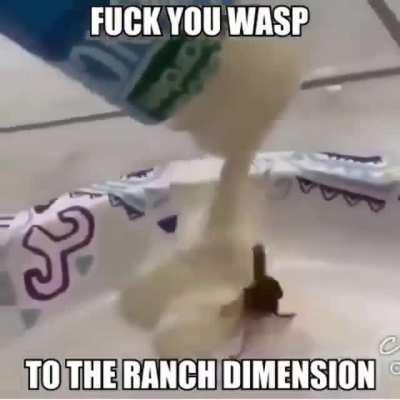 Fuck wasps