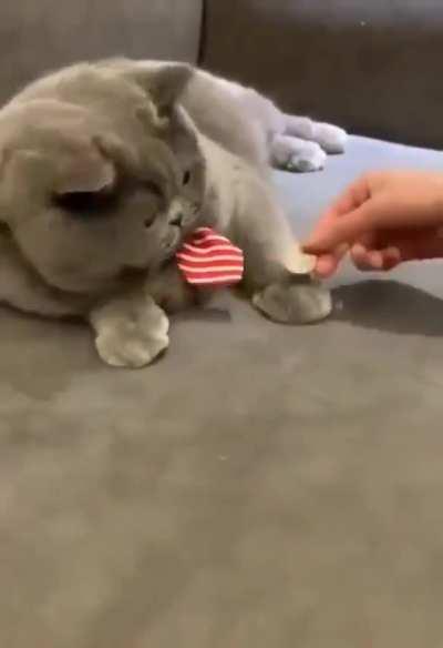 Meanwhile, at Hogwarts...