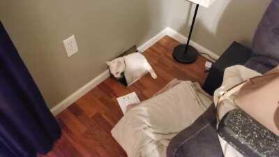 Struggling to keep the portal open