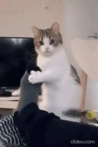 mom wake up i'm hungry :(