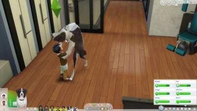 Well, I'm scarred for life now.