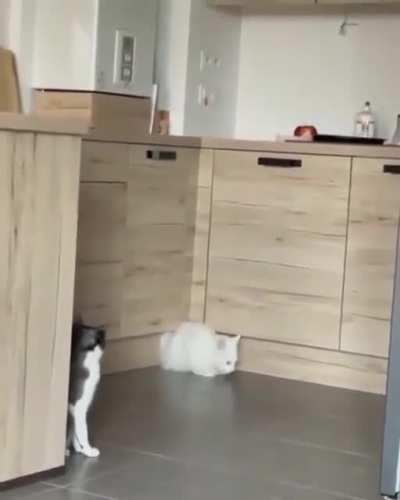 when you find the exit from the backrooms back to the real world