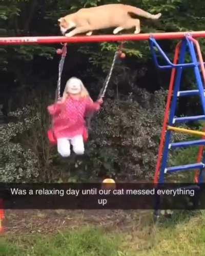 I bet the cat landed on its feet