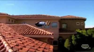 Your pokemon is almost dying, but this bop hits: