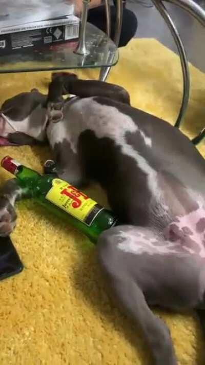 Un pic prea mult speiz !