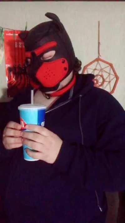 The real reason pup masks are more popular than fursuit masks, milkshake accessibility 🥤