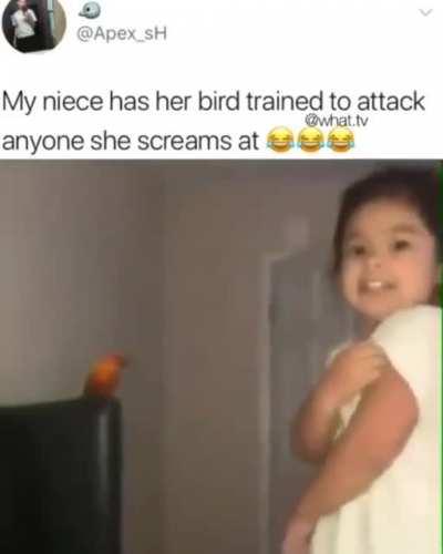 Rày, Controller of the Birds