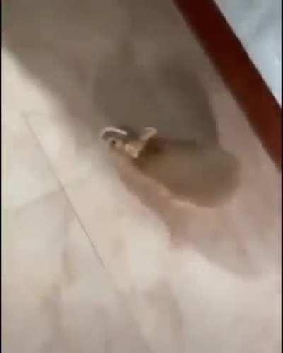 С пробуксовками