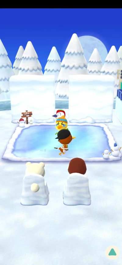 AC PocketCamp Winter Sports