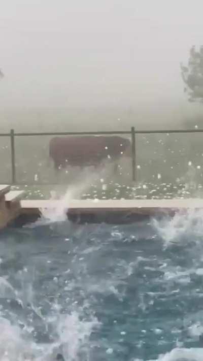 Massive hail as big as grapefruits reported near Waco, TX rn