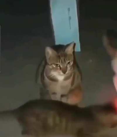 Why are we still here..