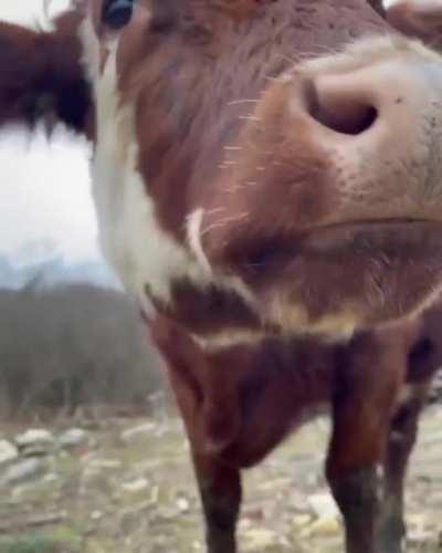 Munchin' and loving the camera