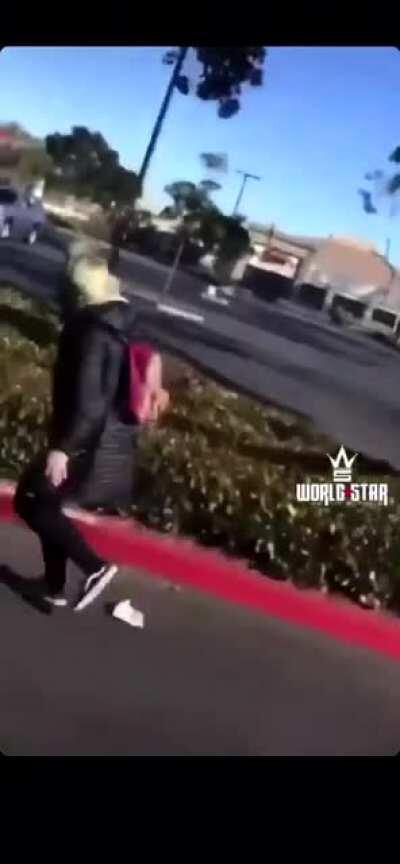 WCGW breaking into a car and stealing.