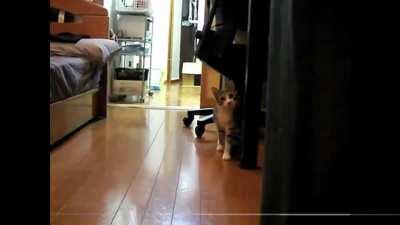 The stands and characters in part5 were really interesting (vol.2/2)