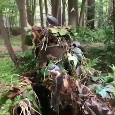 When the suit blends perfectly... 🌿