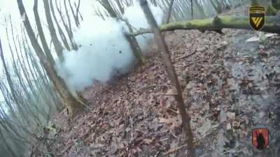 Ukrainian rangers carried out a successful raid on enemy positions in the Kursk region, eliminating 10 enemy forces. The special forces also captured trophy weapons and other equipment.