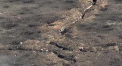 Russian soldier got killed by (seems like headshot at ~00:39) on attempt to storm trenches. Location unknown, recent dates.