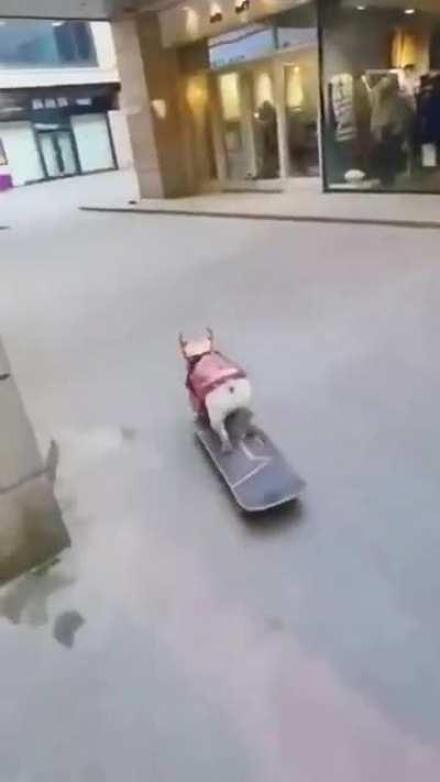 The way she dodges those corners