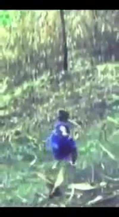 Malayalam cinema... light years ahead.