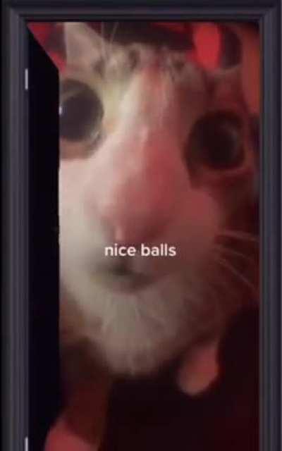 nice balls