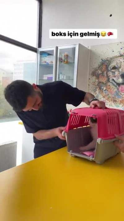 To contain a kitty in the cage