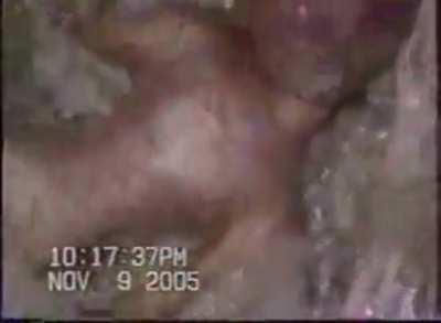 Does anyone have any further information on this video? I found it and it was labelled “Alien found in military base”