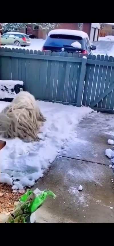 I saw this video a few days ago, and tought it was missing something 