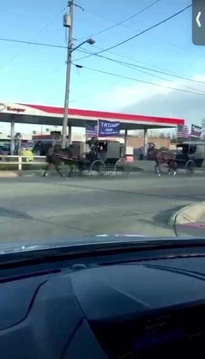 Amish Trumptrain