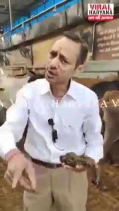 Excuse me what the fuck