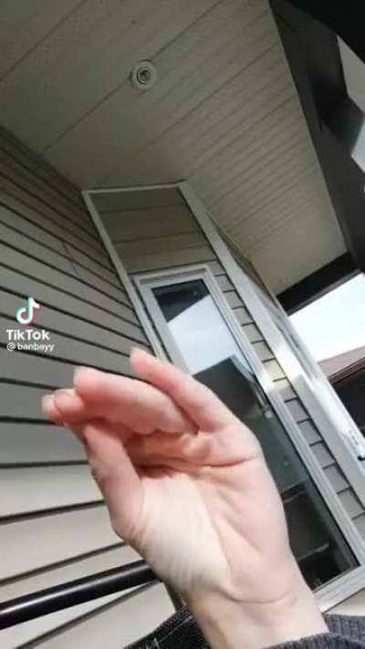 NOOO Boni 😖🙁😢😞